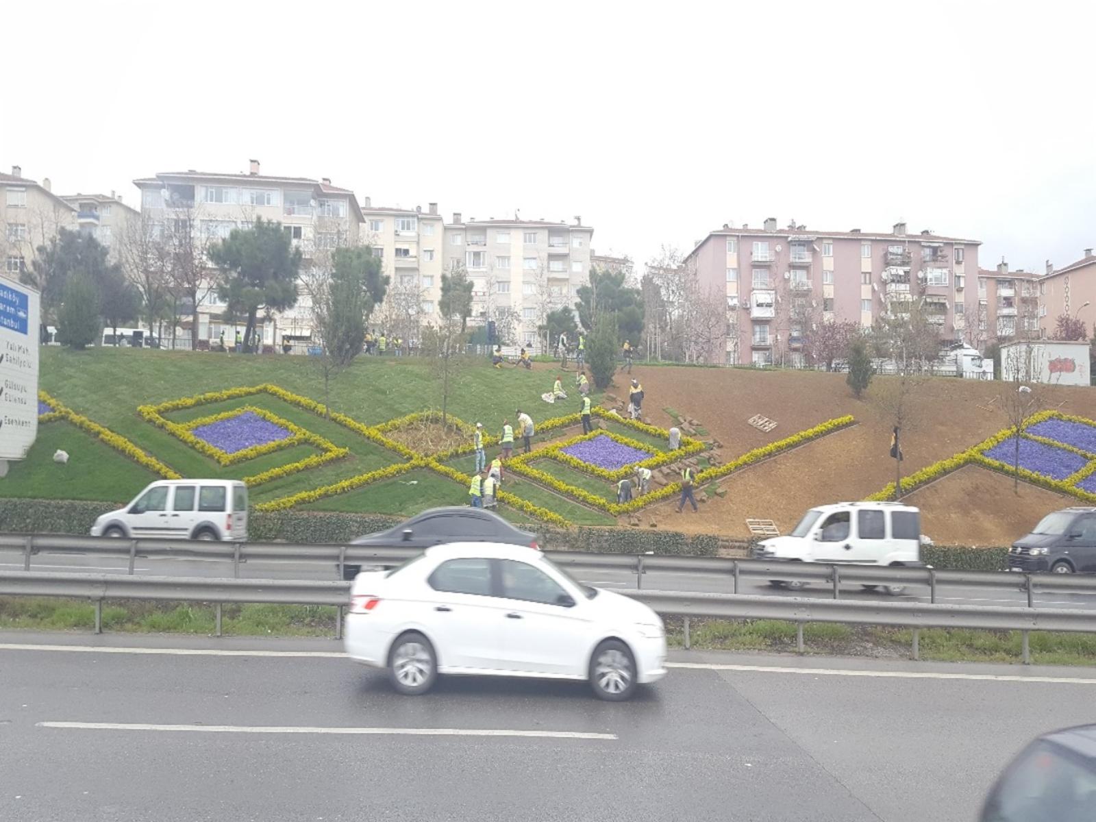 Image esen4